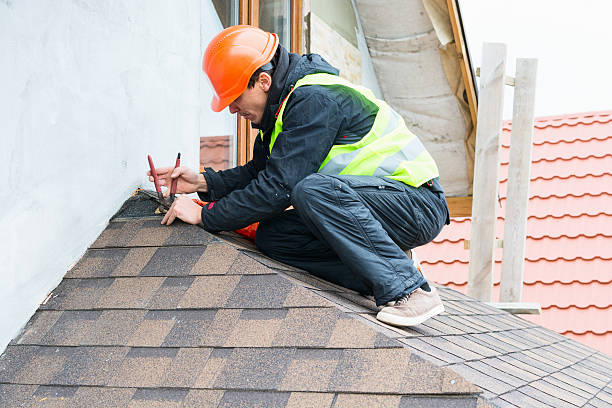 Best Roof Gutter Cleaning  in Bressler, PA