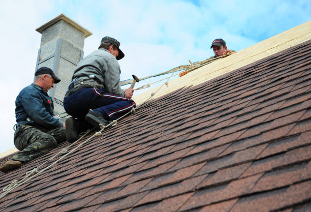Best Roof Inspection Near Me  in Bressler, PA